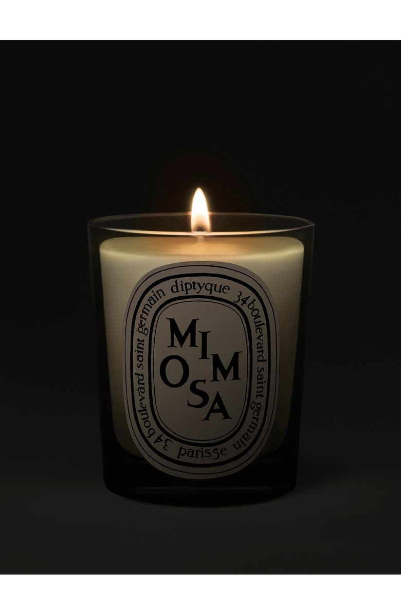 Diptyque Mimosa Scented Candle, Alternate, color,