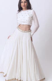 RAAS Zuriah Shimmer Lehenga Choli Set