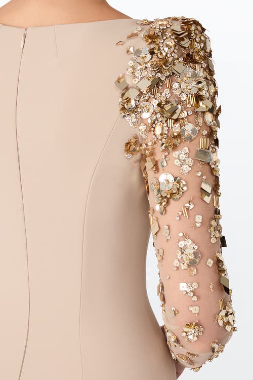 Jenny Packham Sylvia Maxi Dress In Pink