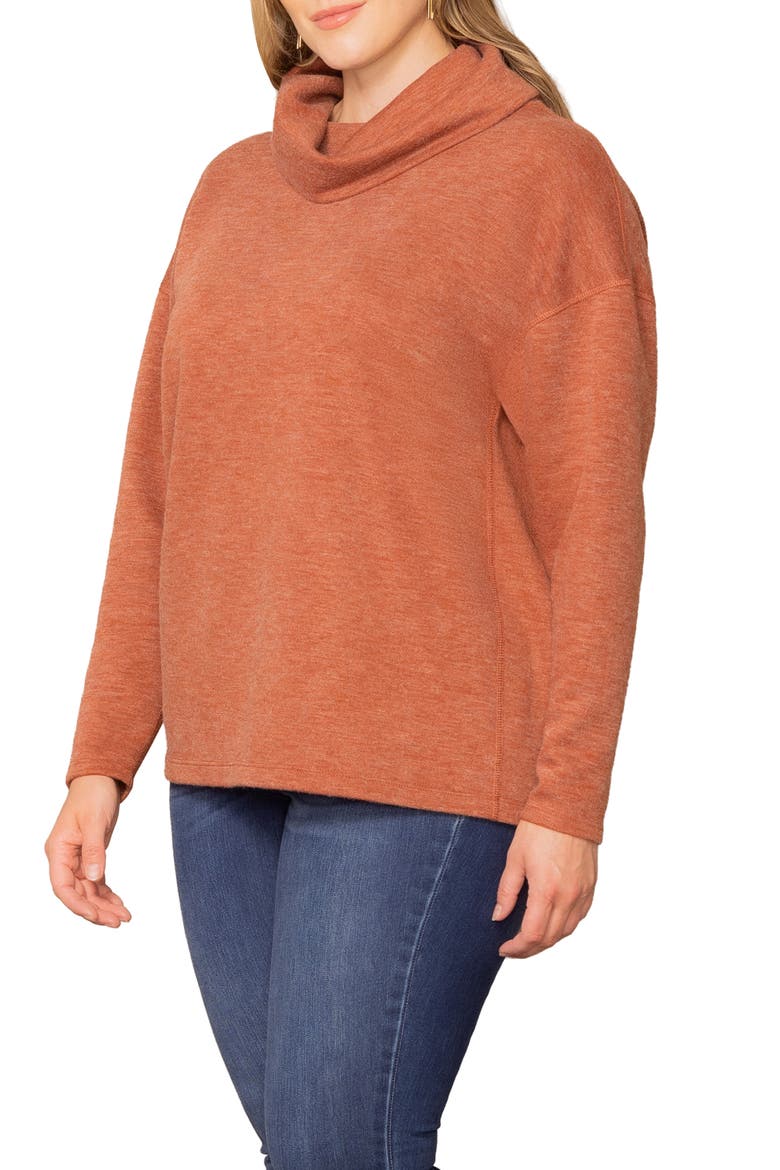 Astrid Turtleneck Sweater, Alternate, color, CINNAMON