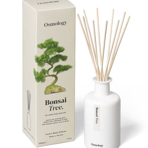 Bonsai Tree Reed Diffuser - Birch Sap Orange and Yuzu