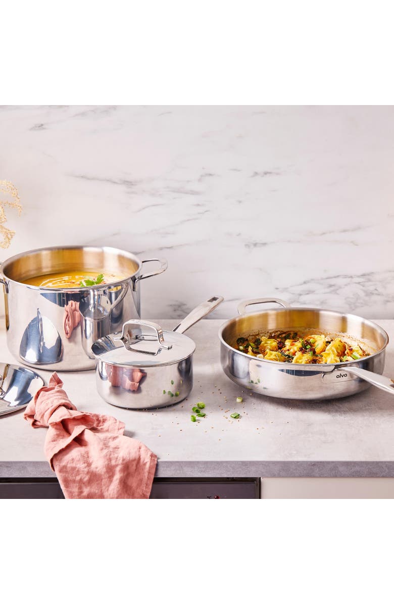 Alva Maestro 10-Piece Hybrid Stainless Steel Cookware Set, Alternate, color, Silver