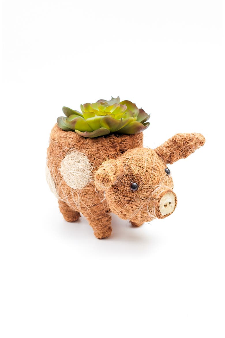 Farm Animal Coco Coir Planters, Alternate, color, Natural Brown