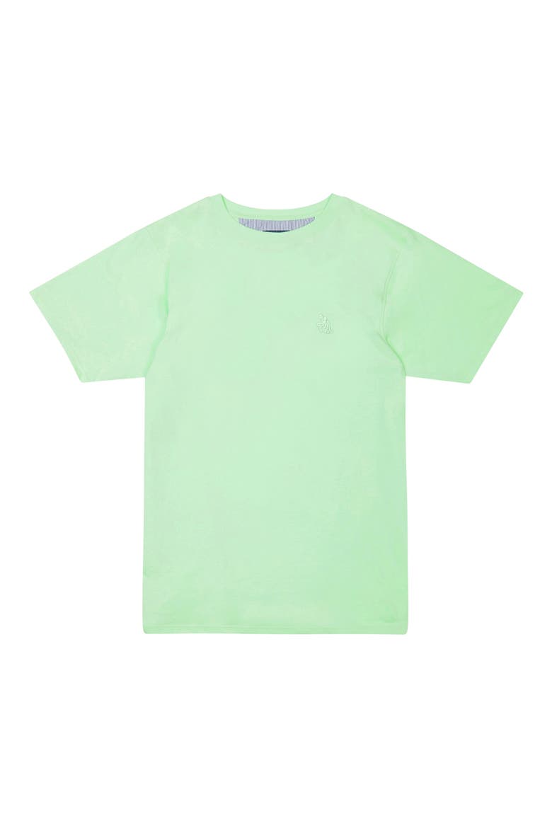 Kids' Solid Cotton T-Shirt, Main, color, PISTACHIO