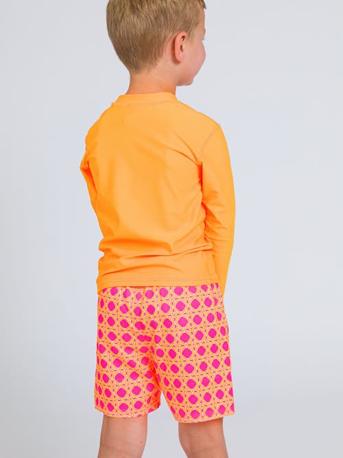 Ruggedbutts Toddler Boys Upf50+ Swim Trunks In Multi