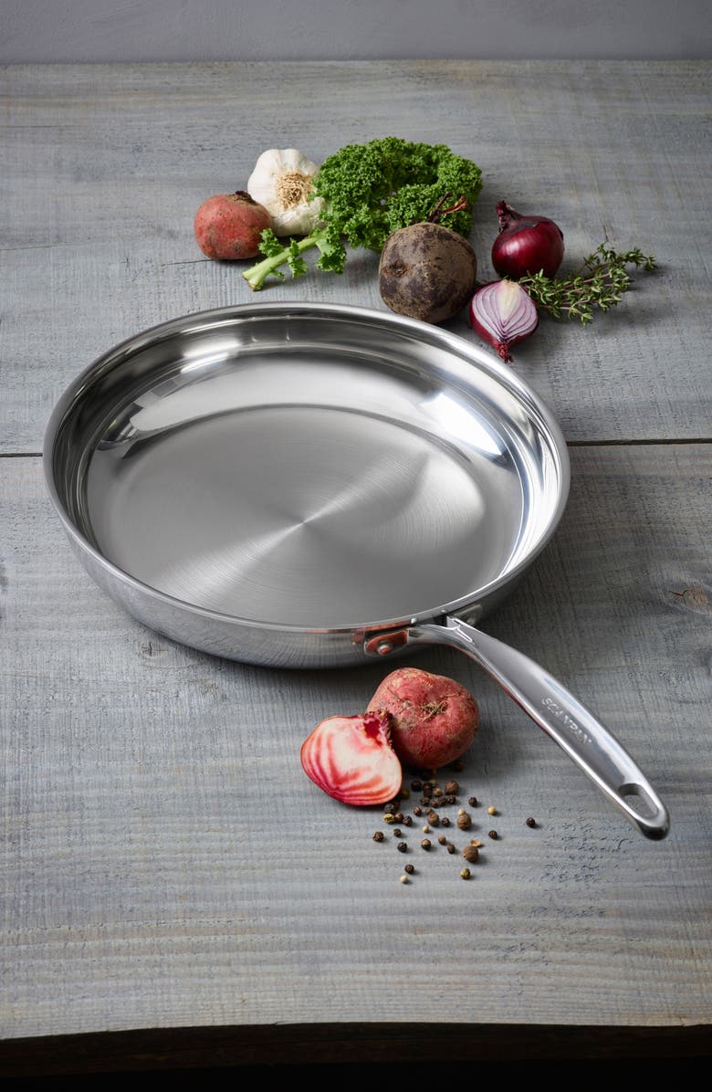 Scanpan Fusion 5 10.25-Inch Fry Pan, Alternate, color, Silver