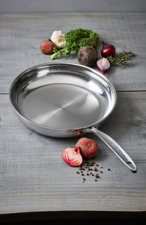 Scanpan Fusion 5 10.25-inch Fry Pan In Metallic