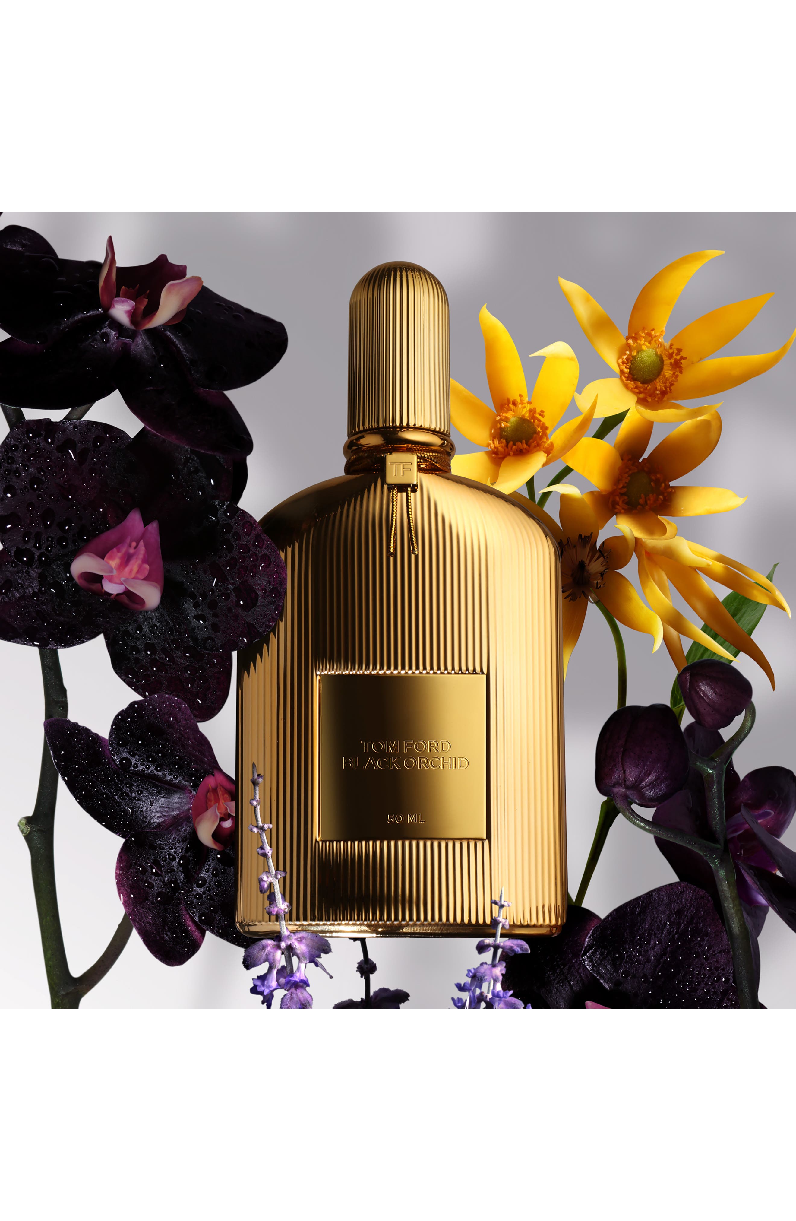Black Orchid Parfum (Women) | Nordstrom