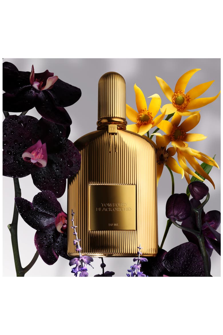 Black Orchid Parfum, Alternate, color, NO COLOR