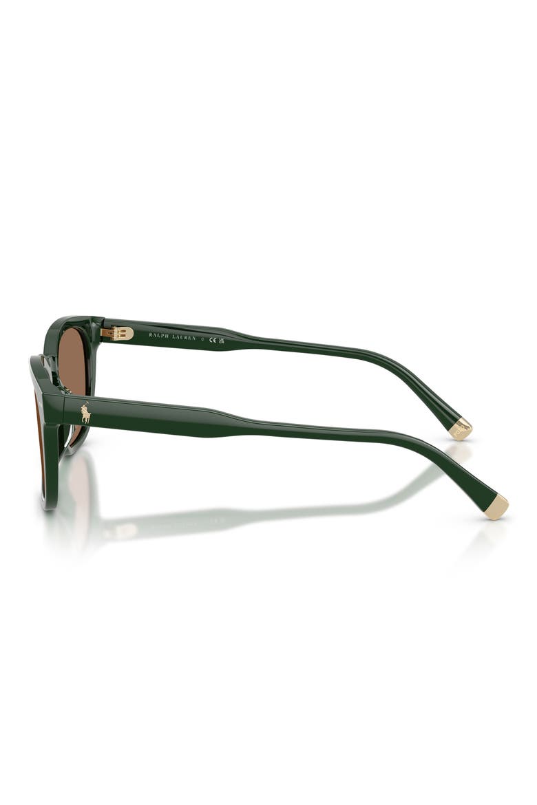 52mm Square Sunglasses, Alternate, color, SHINY DARK GREEN / DARK BROWN