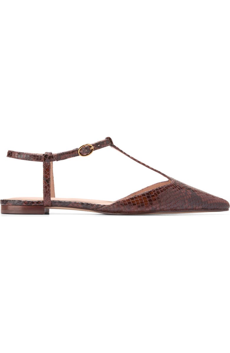 Cole Haan Marlah T-Strap Pointed Toe Ballet Flat, Alternate, color, Dark Cuoio Snake Print Leather