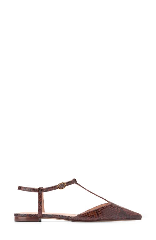 Shop Cole Haan Marlah T-strap Pointed Toe Ballet Flat