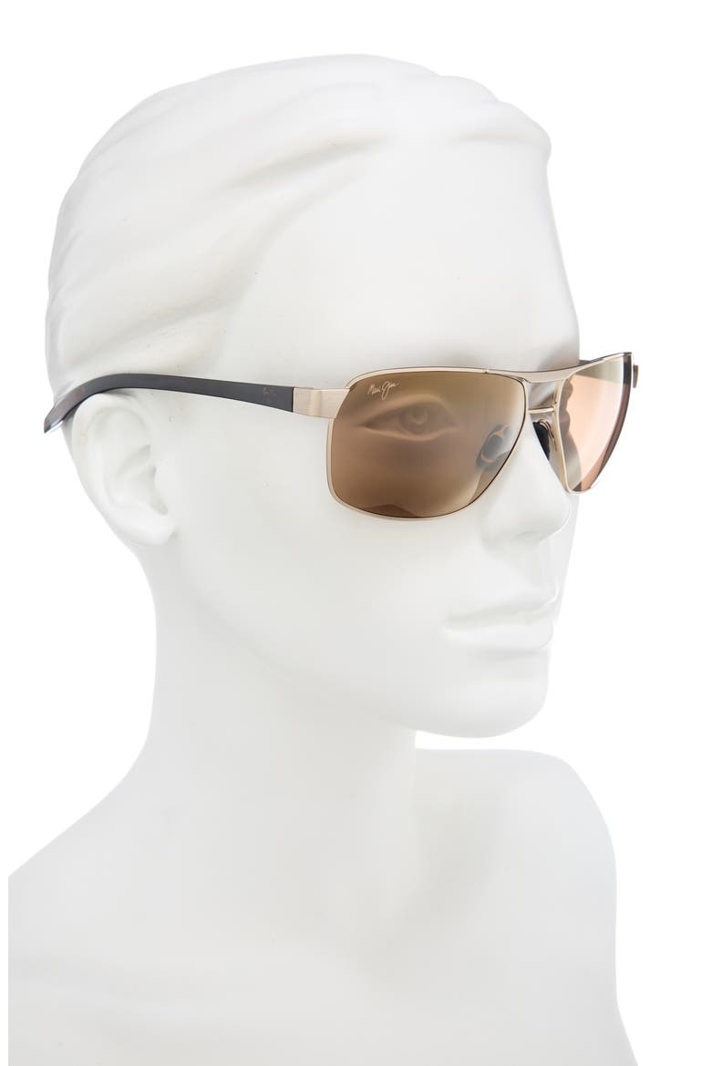 Polarized Navigator Sunglasses, Alternate, color, GOLD BLACK BRONZE