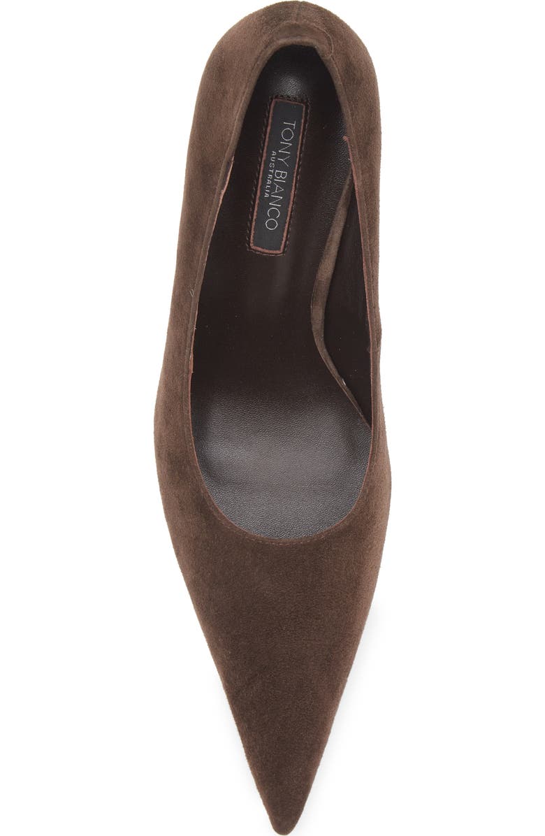 Tony Bianco Imogen Pointed Toe Pump, Alternate, color, Espresso Suede