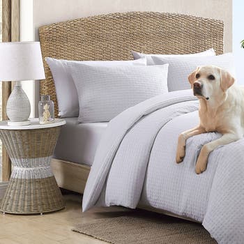 Basketweave Cotton Duvet Cover & Sham Set