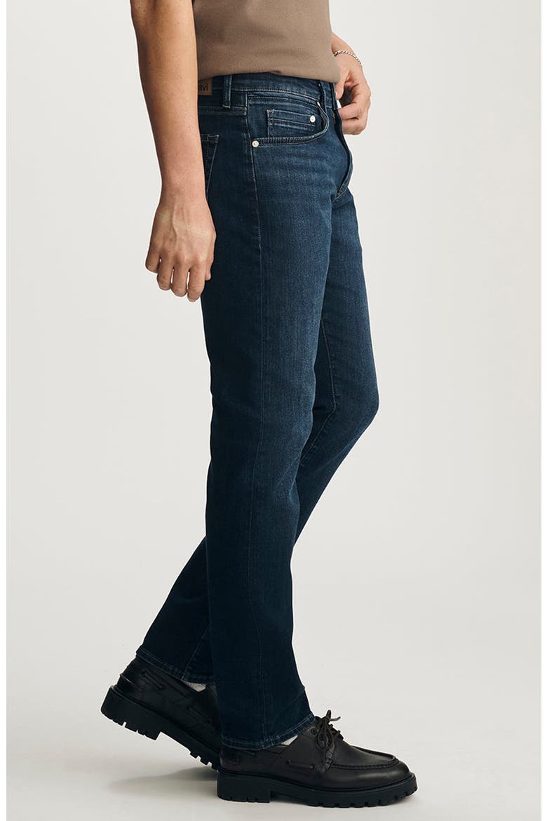 Jake Slim Fit Jeans, Alternate, color, DARK BRUSHED WILLIAM