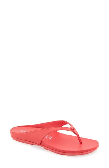 AEROSOLES AEROSOLES FISHER SANDAL 