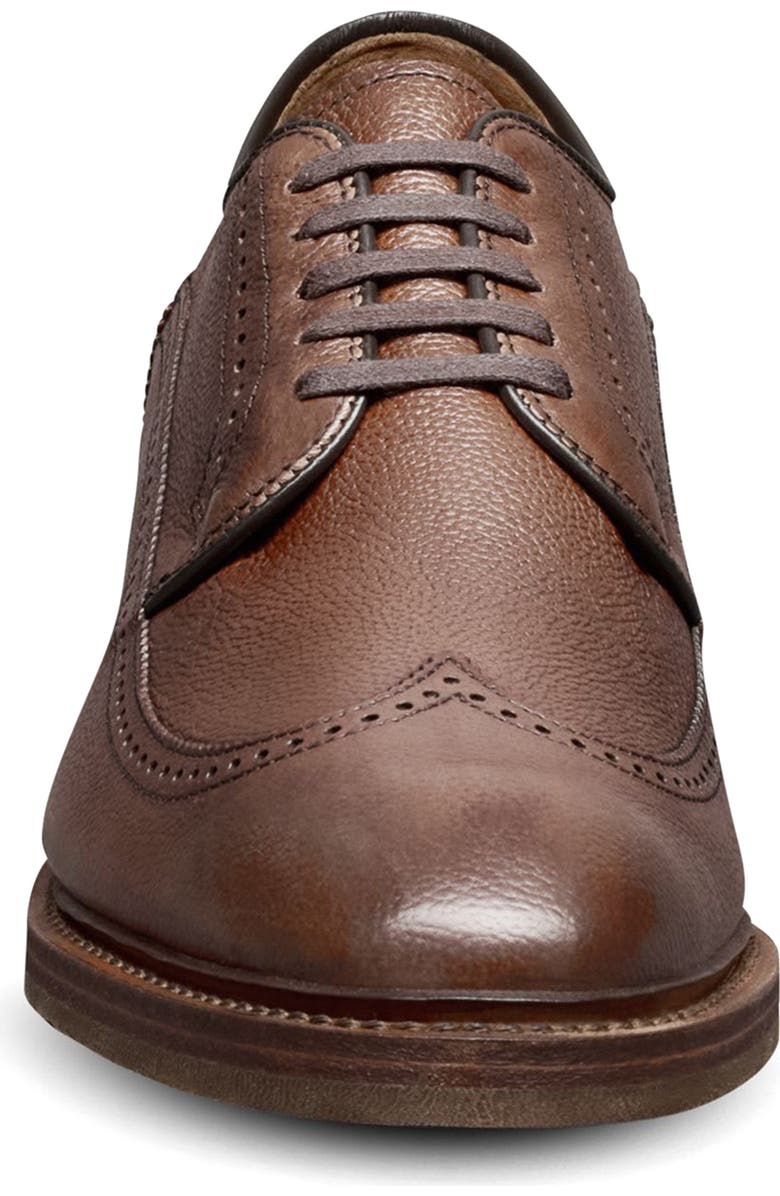 Allen Edmonds Winston Verse Wingtip Brogue Oxford, Alternate, color, Chili