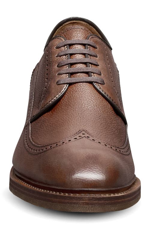 Allen Edmonds Winston Verse Wingtip Brogue Oxford