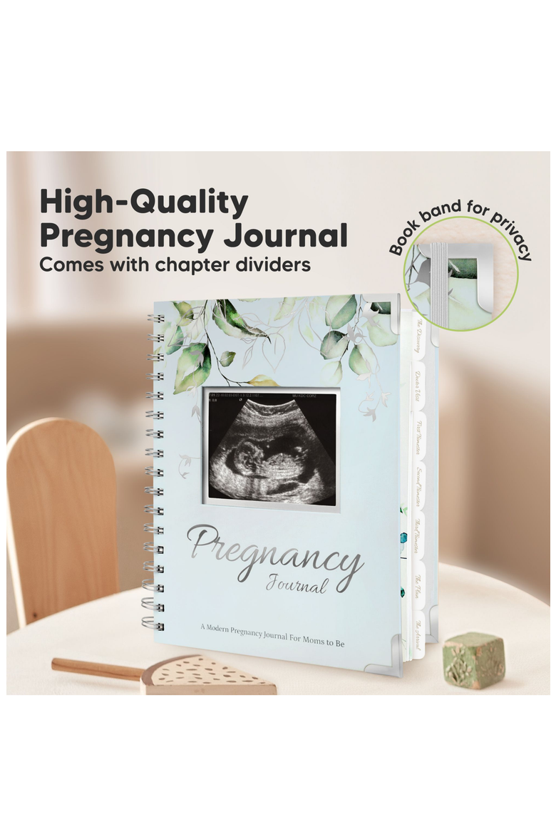Inspire Pregnancy Journal, Alternate, color, Frost