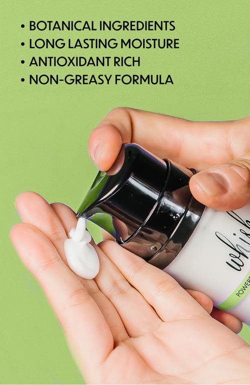Whish Beauty Body Butter In Green