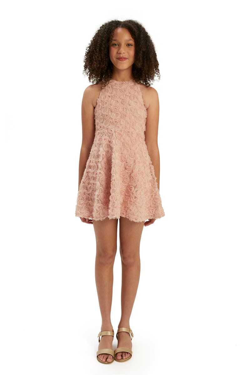Bardot Junior Kids' Lizelle Rosette Embroidered Lace Dress, Alternate, color, 