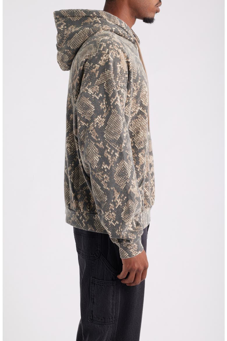 Post Graphic Hoodie, Alternate, color, DUSTY VINTAGE RATTLESNAKE