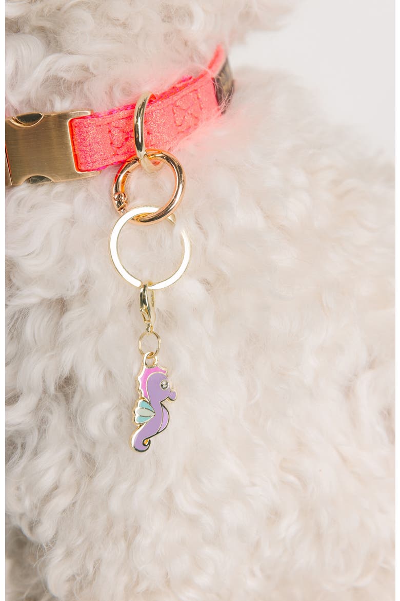 Seahorse Pet Collar Charm, Alternate, color, Seahorse