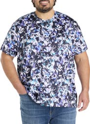 Robert Graham DXL Big & Tall Layne Graphic Tee
