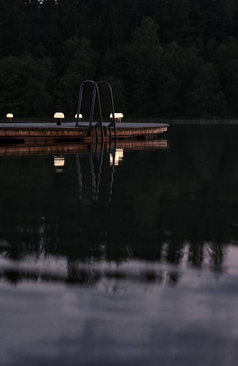 Zone Denmark Harvest Moon Indoor/Outdoor Lamp, Alternate, color, Black