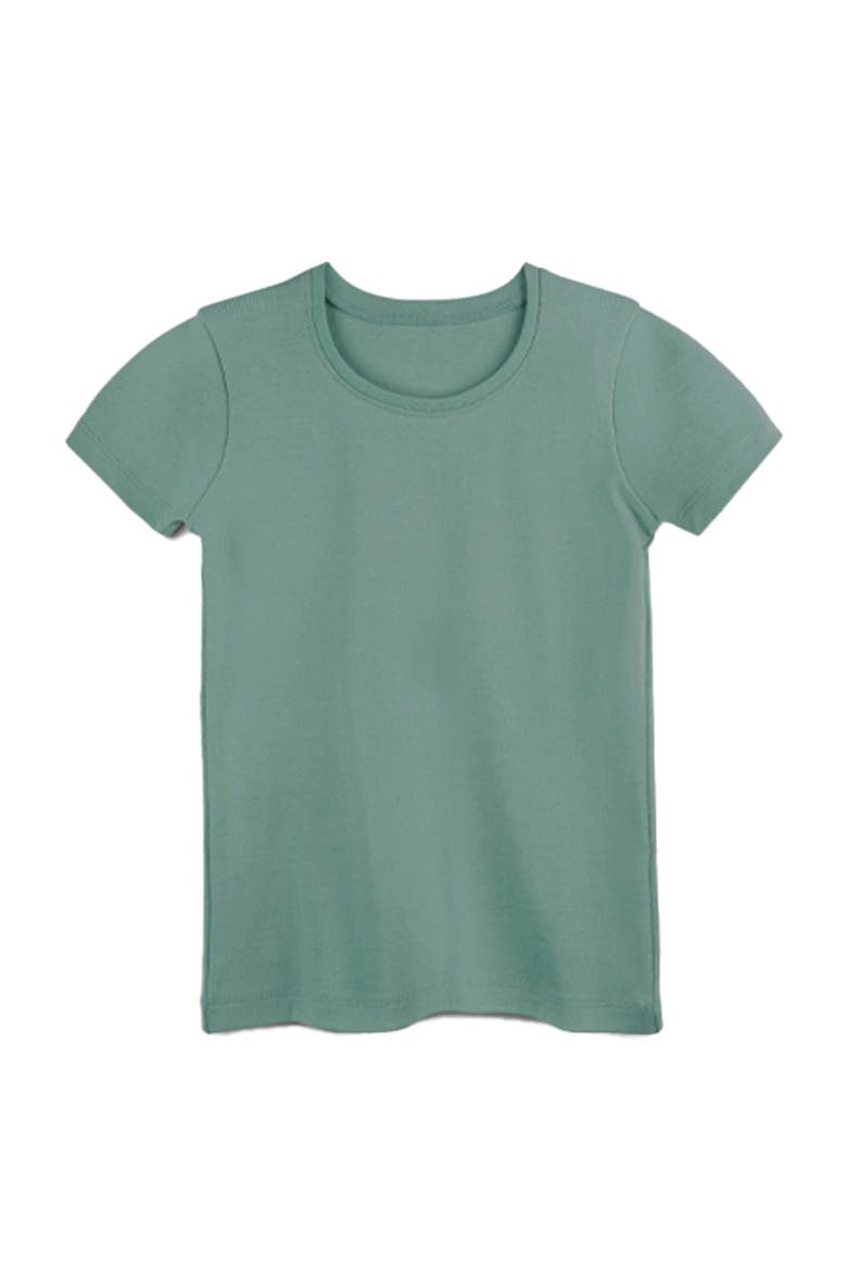 Organic Cotton Short Sleeve Ribbed Scoop Neck Tee, Main, color, Willow