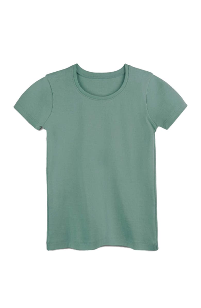 Mightly Organic Cotton Short Sleeve Ribbed Scoop Neck Tee, Main, color, Willow