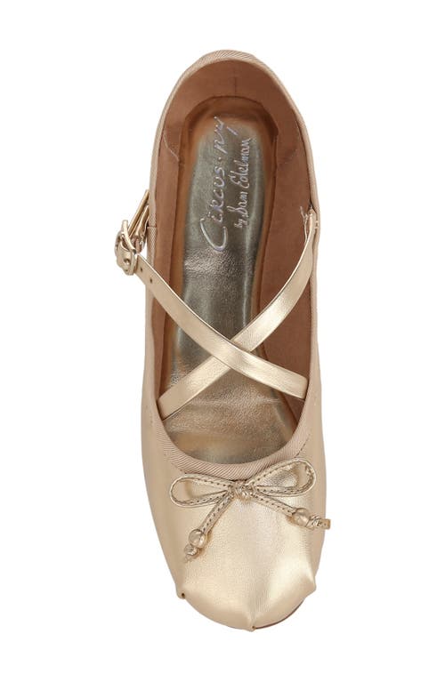Circus Ny By Sam Edelman Zuri Ballet Flat In Gold