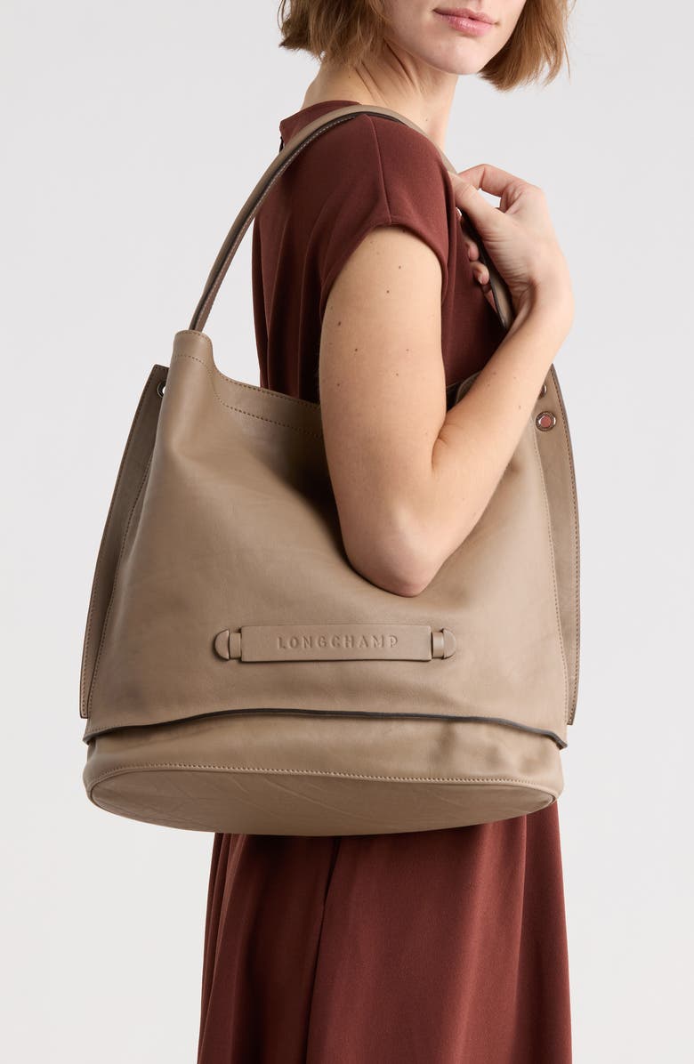 Longchamp 3D Leather Crossbody Hobo, Alternate, color,