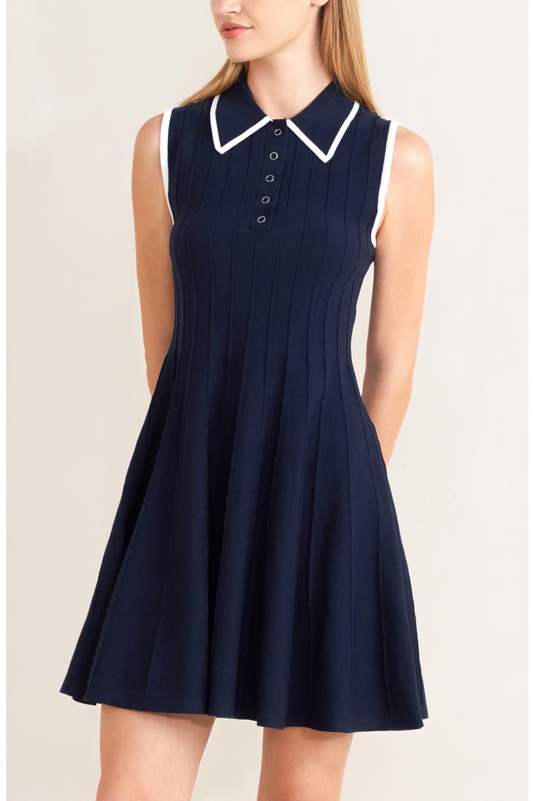 Sleeveless Fit & Flare Sweater Dress, Alternate, color, NAVY/ WHITE