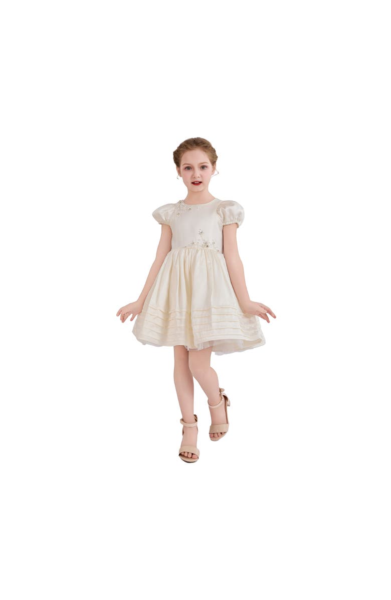 Tulleen Embroidered Pleated Dress, Alternate, color, Ivory