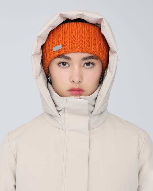 Quartz Co. Nola | Headband In Tiger