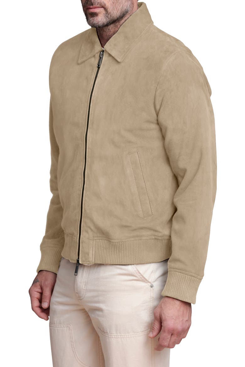 Suede Bomber Jacket, Alternate, color, SAND
