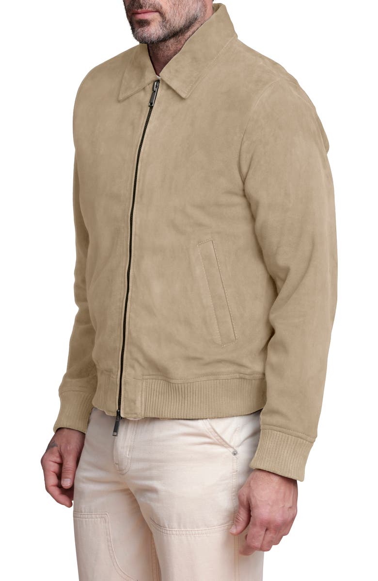 Bagatelle Suede Bomber Jacket, Alternate, color, Sand