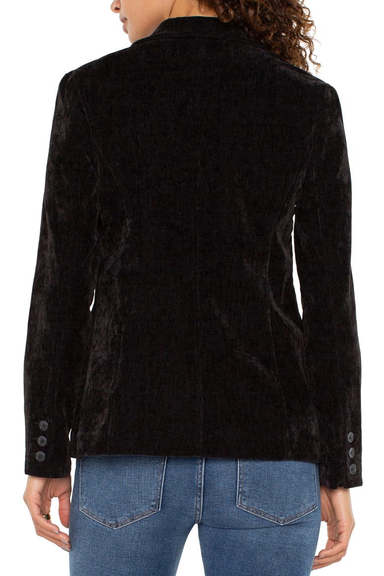 Fitted Velvet Blazer, Alternate, color, BLACK