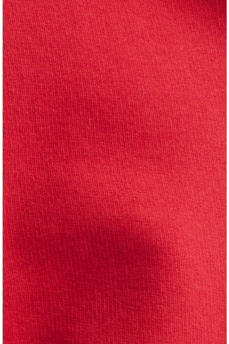 Embroidered Baggy Fleece Pants, Alternate, color, 6167 RED/ BLACK