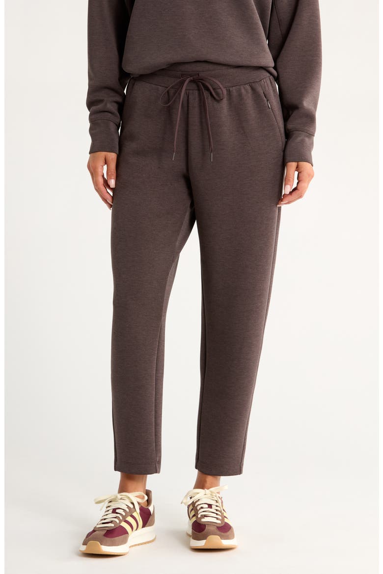 Soft Luxe High Waist Ankle Pants, Main, color, BROWN MOLE HEATHER