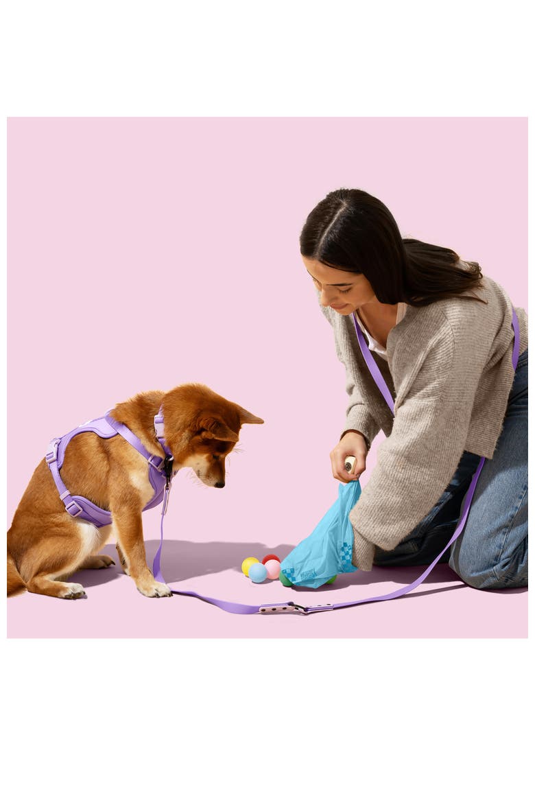 13 in. x 9 in. Extra Thick Leak Proof Unscented Dog Poop Bags, Blue, Alternate, color, 540 Count, 36-Rolls