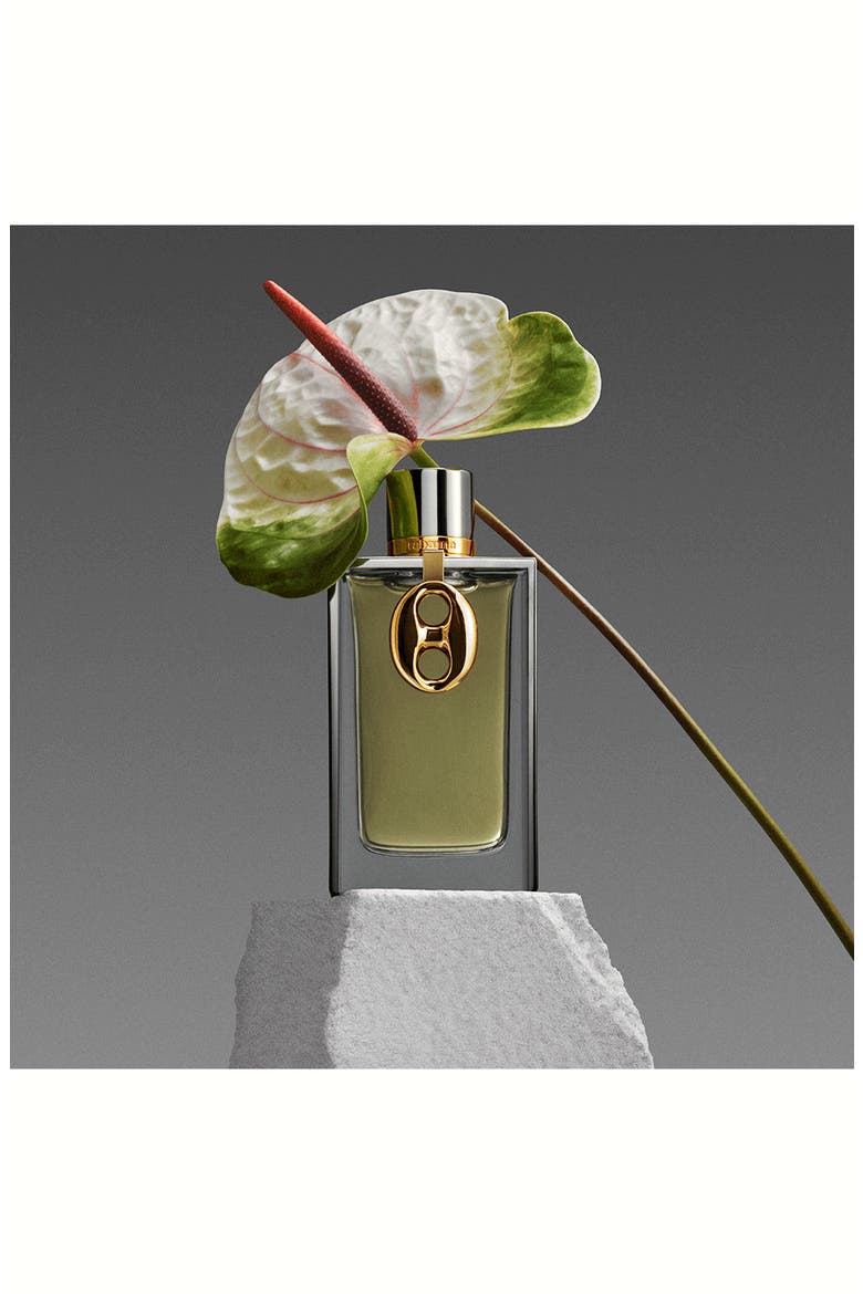 Mesh Metal Eau de Parfum (Nordstrom Exclusive), Alternate, color, NO COLOR