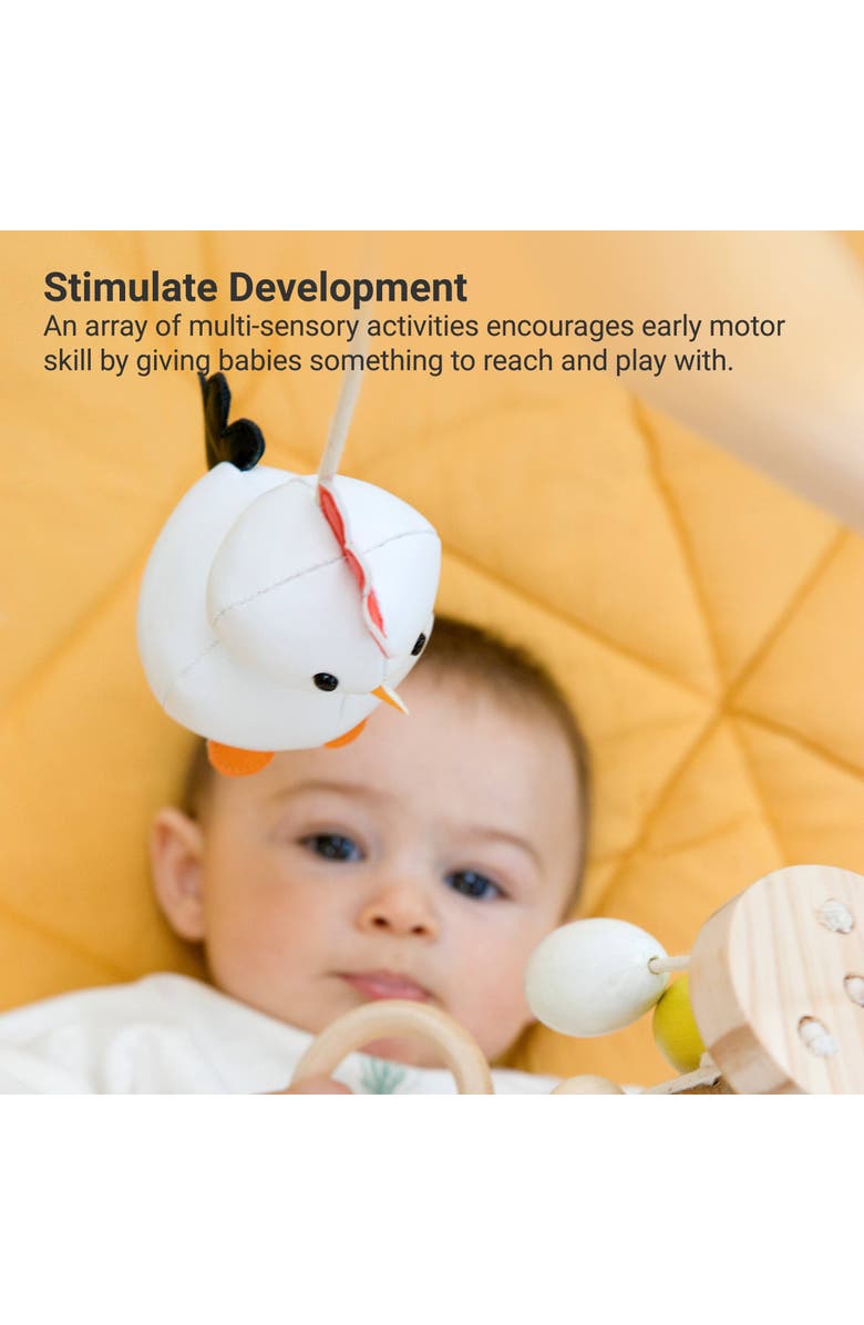 Little Big Friends Wooden Activity Arch - Farm, Baby Gym & Sensory Toys, Alternate, color, Multicolor