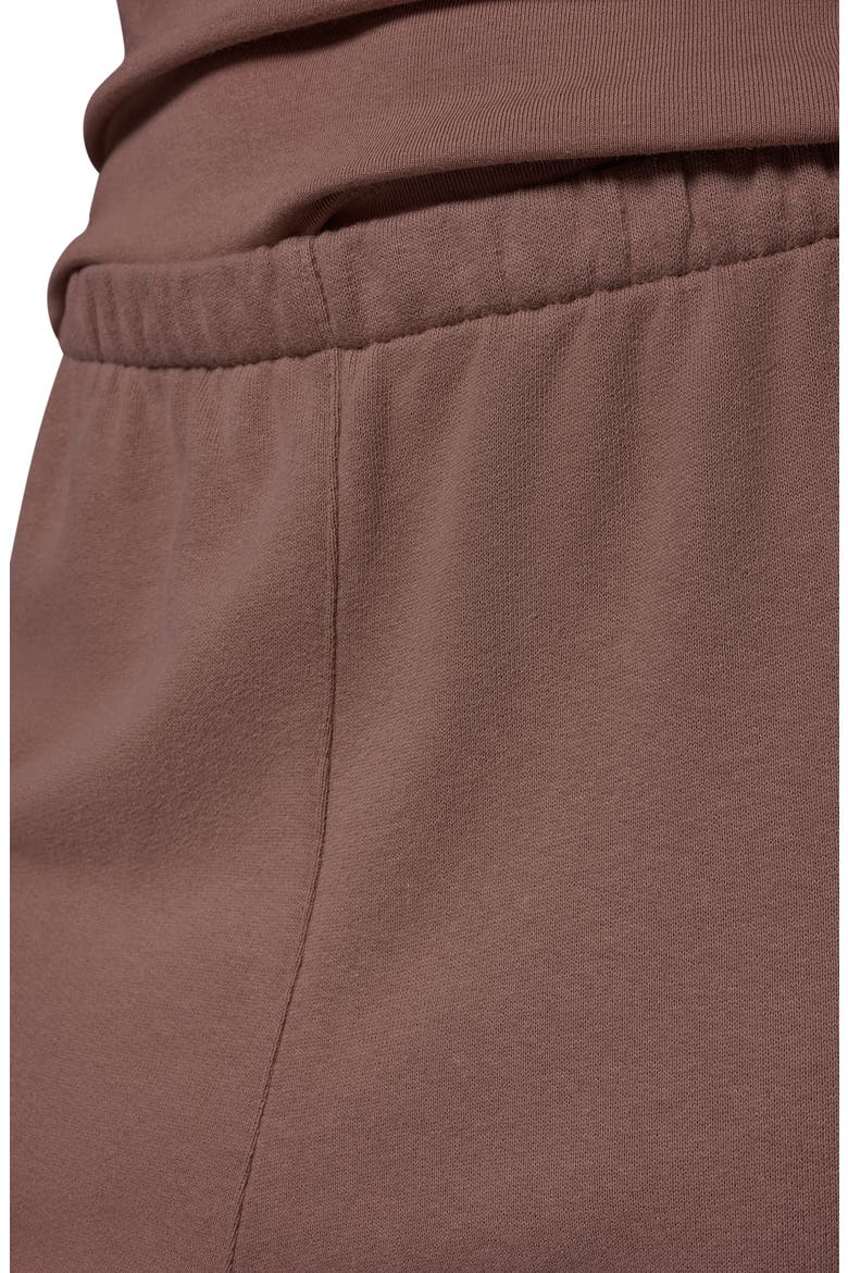French Terry Straight Leg Pants, Alternate, color, CAMEL
