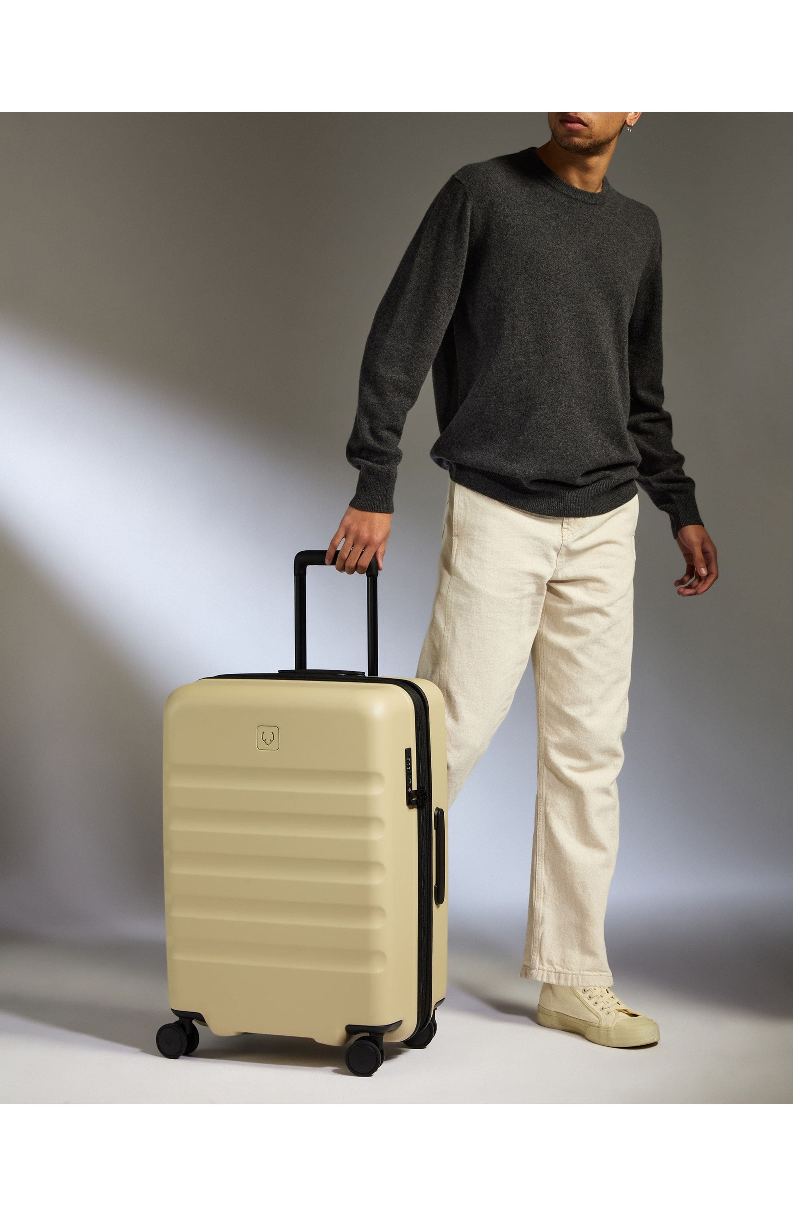 ANTLER Medium Luggage - Icon Stripe, Alternate, color, Dune