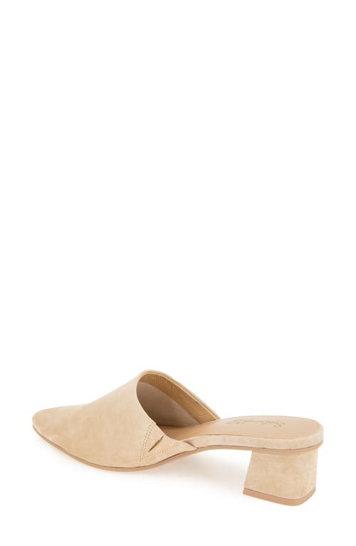 SPLENDID SPLENDID LORELEI MULE