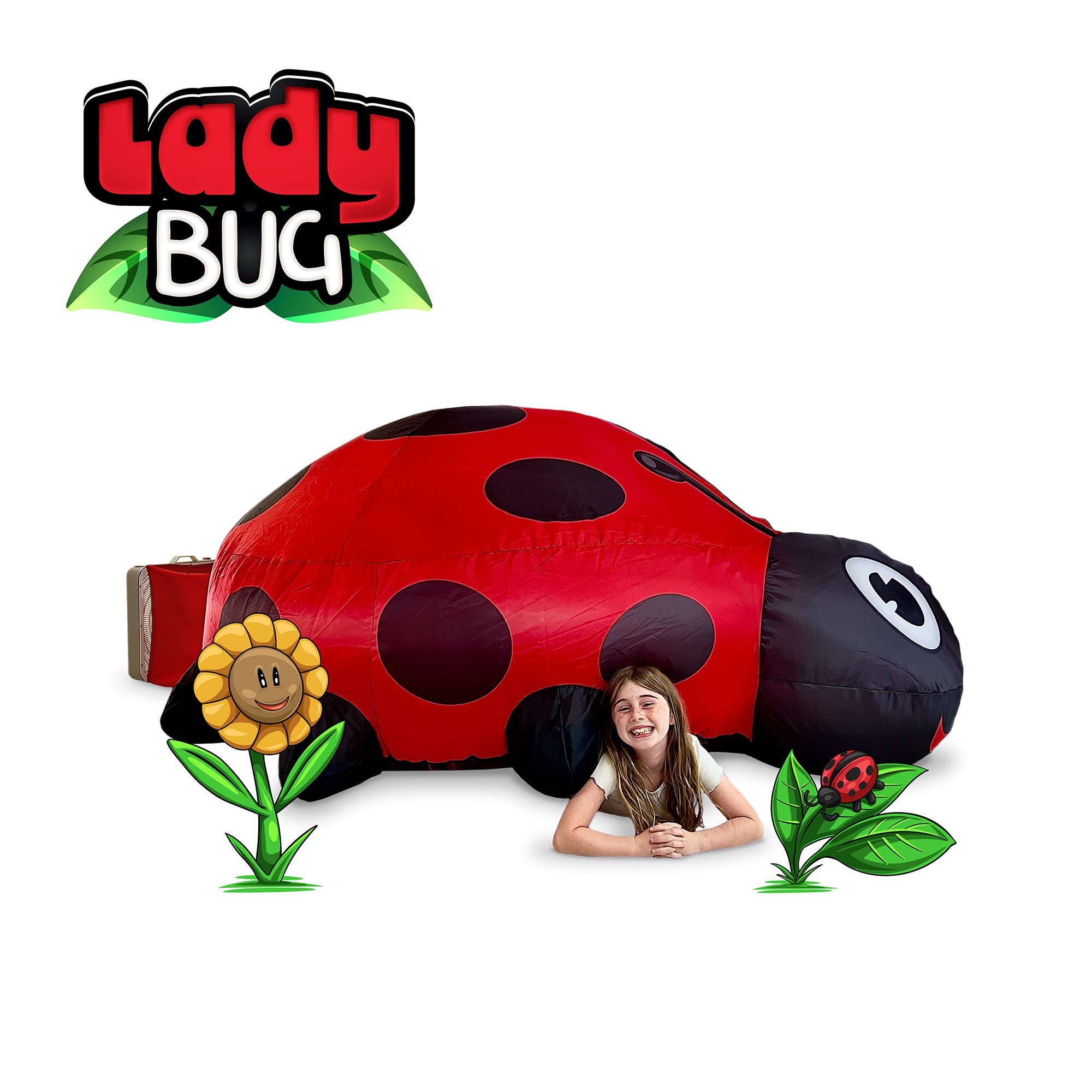 Ladybug