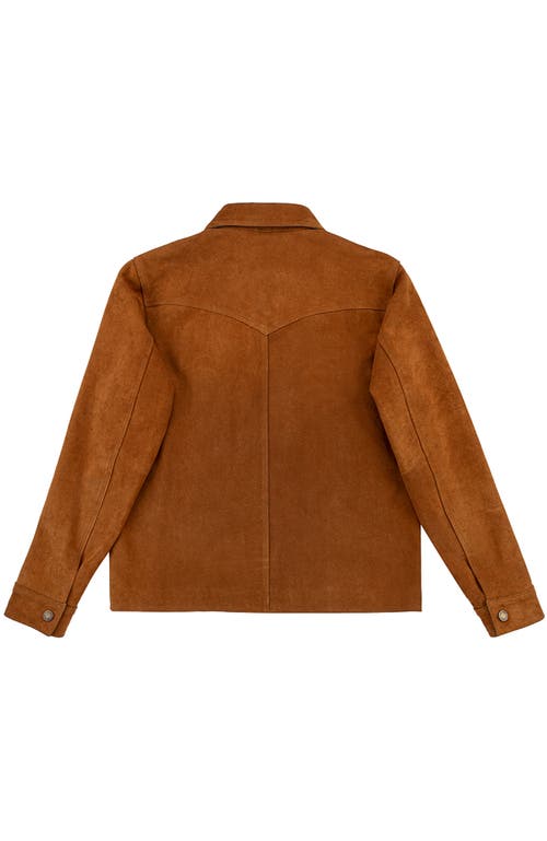 Last Wolf Sequoia Trucker Jacket